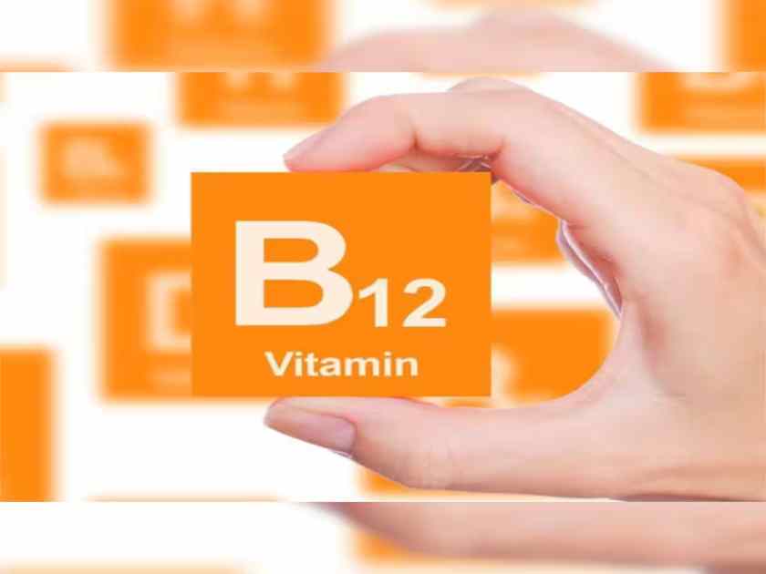 Vitamin B12: વિટામિન બી 12 ની ઊણપ હોય તો ખાવા લાગો આ 4 શાકાહારી વસ્તુઓ, નહીં લેવા પડે ઇન્જેક્શન