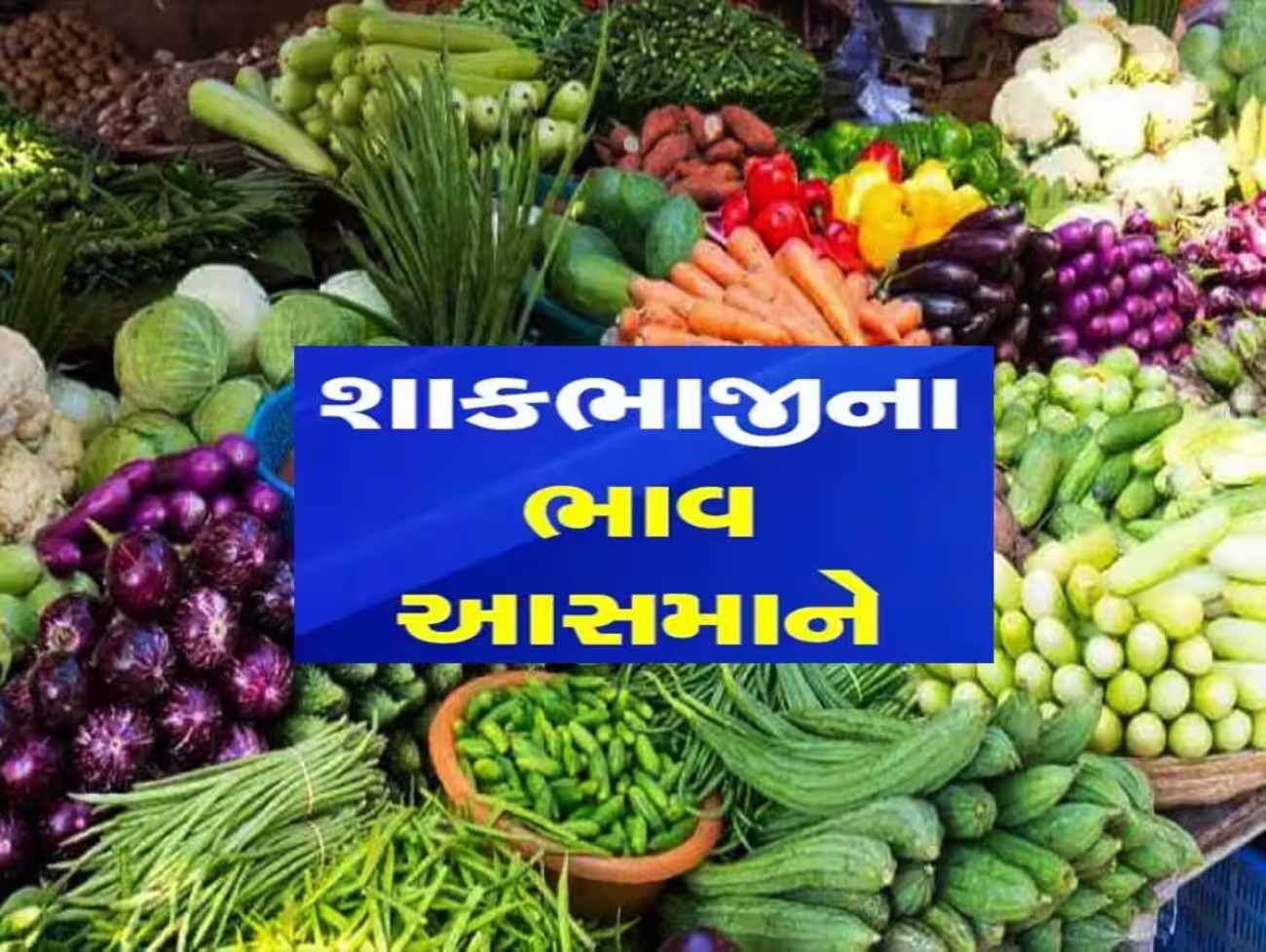 શિયાળામાં પણ શાકભાજીના ભાવ આસમાને,લસણ તો 500 રૂપિયા પ્રતિ કિલો સુધી પહોંચી ગયું