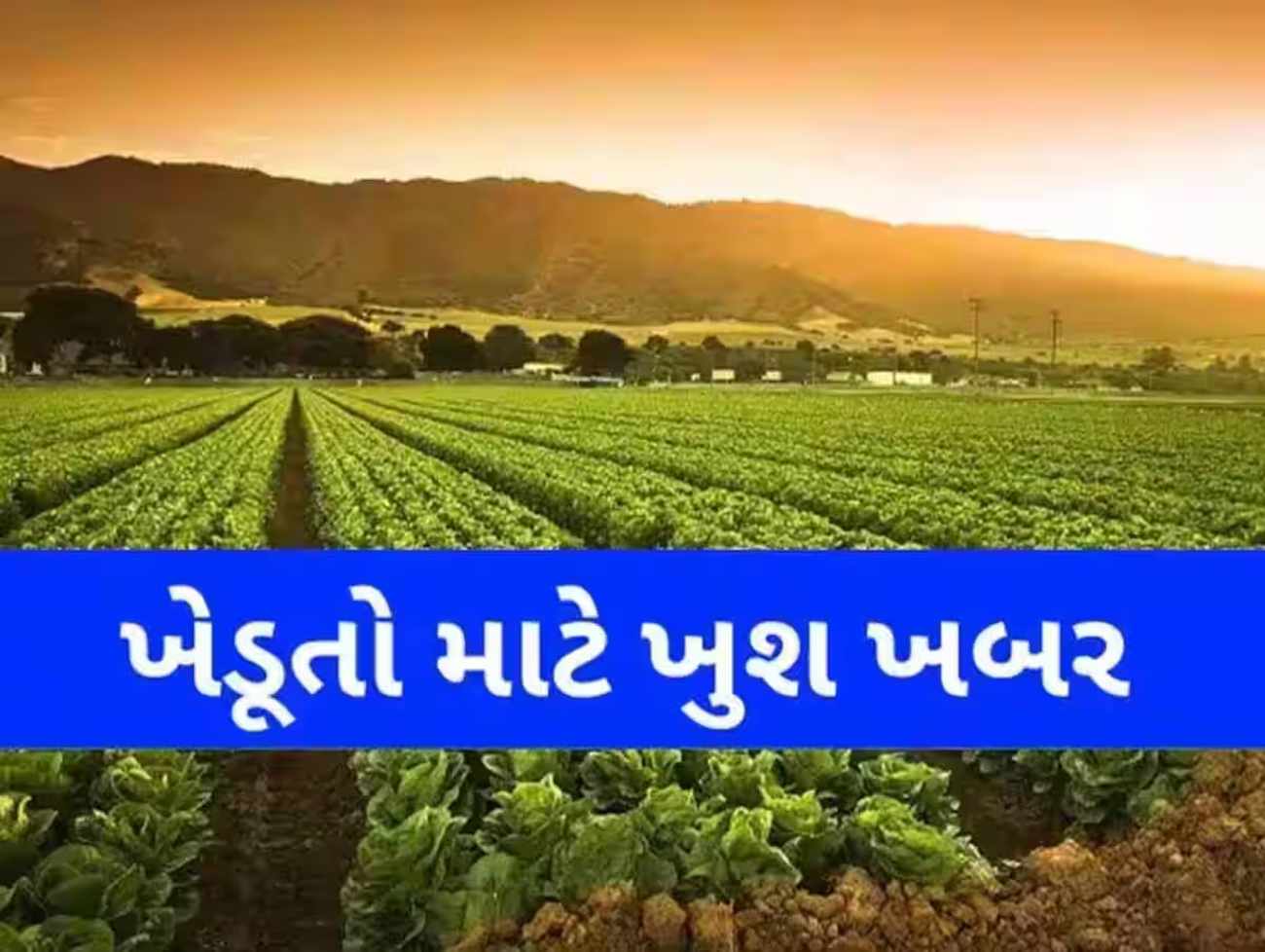 ખેડૂતો માટે મહત્વના સમાચાર , જો તમે ખેડૂત છો તો ફાટાફટ વાંચી લો પહેલા જ સમાચાર