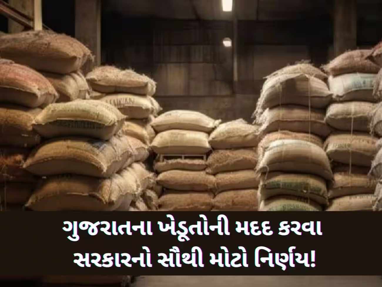 હવે તમારું અનાજ સંગ્રહ કરવા સરકાર આપશે 1 લાખ રૂપિયા સુધીની સબસિડી