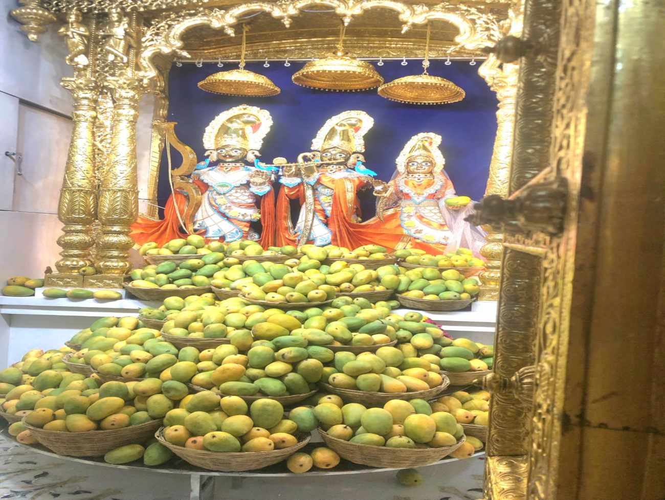 વડતાલ ધામમાં સ્વામિનારાયણ મંદિરમાં દેવો સમક્ષ 1000 કિલો કેસર કેરીનો ઉત્સવ ઉજવાયો.