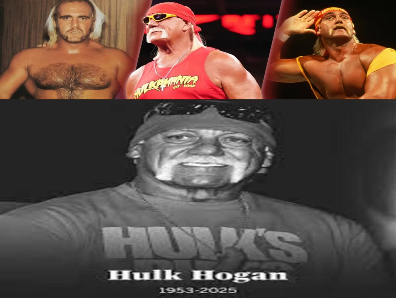 WWE સુપરસ્ટાર હલ્ક હોગનનું નિધન, 71 વર્ષની ઉંમરે આવ્યો કાર્ડિયાક અરેસ્ટ