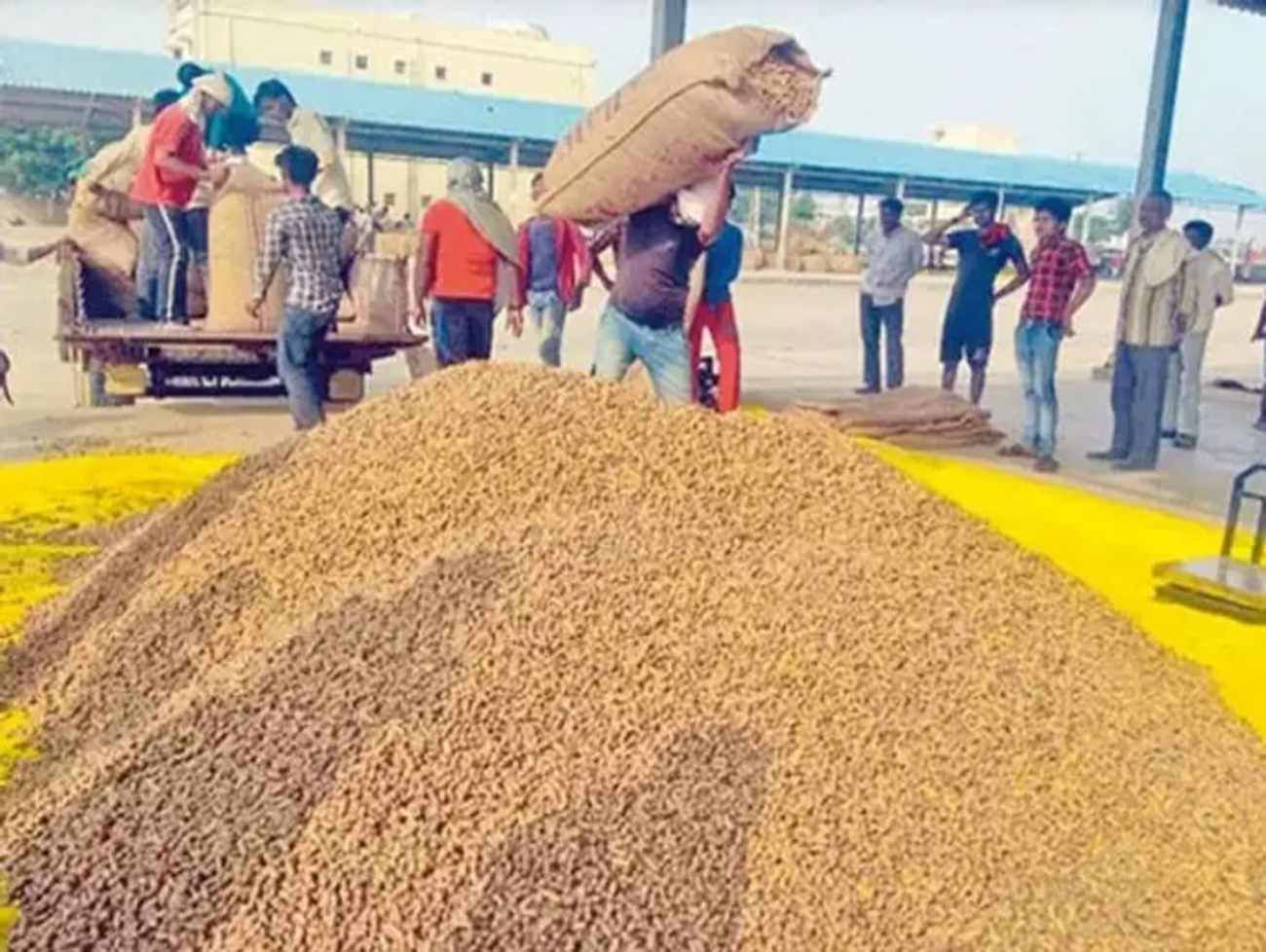 રાજ્યના ખેડૂતો માટે મહત્ત્વના સમાચાર: ટેકાના ભાવે વેચાણ માટે 1 સપ્ટેમ્બરથી ઓનલાઈન રજિસ્ટ્રેશન શરૂ કરાશે
