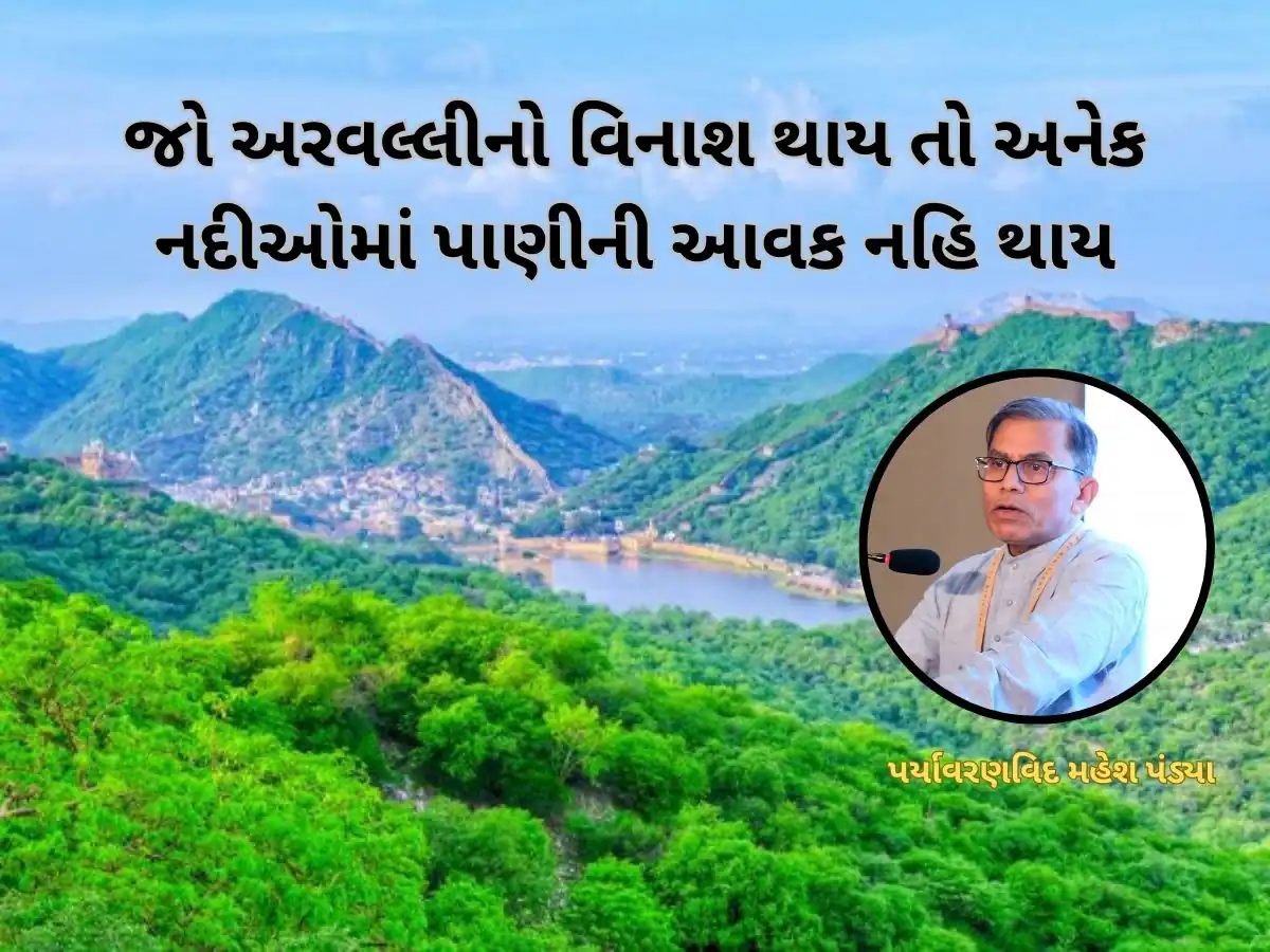 અરવલ્લી જશે તો અમદાવાદ પર આવશે મોટી આફત! સાબરમતી નદીનું પાણી સૂકાઈ જશે! - પર્યાવરણ વિદ્દ મહેશ પંડ્યા