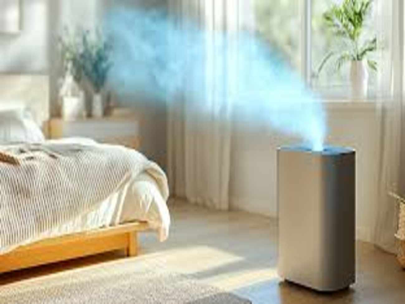 Air Purifier : હવા ઝેરી બનતા એર પ્યુરિફાયર્સની ખરીદી વધી, GSTમાં ઘટાડાની માગ