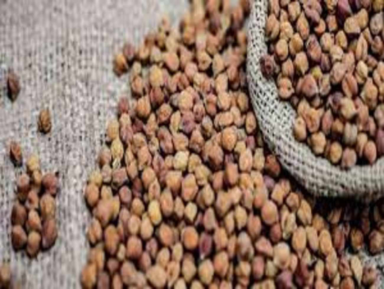 ગુજરાતમાં ચણા અને રાઈની ટેકાના ભાવે ખરીદી કરાશે, 13 ફેબ્રુઆરીથી ઓનલાઇન નોંધણી, જાણો ભાવ