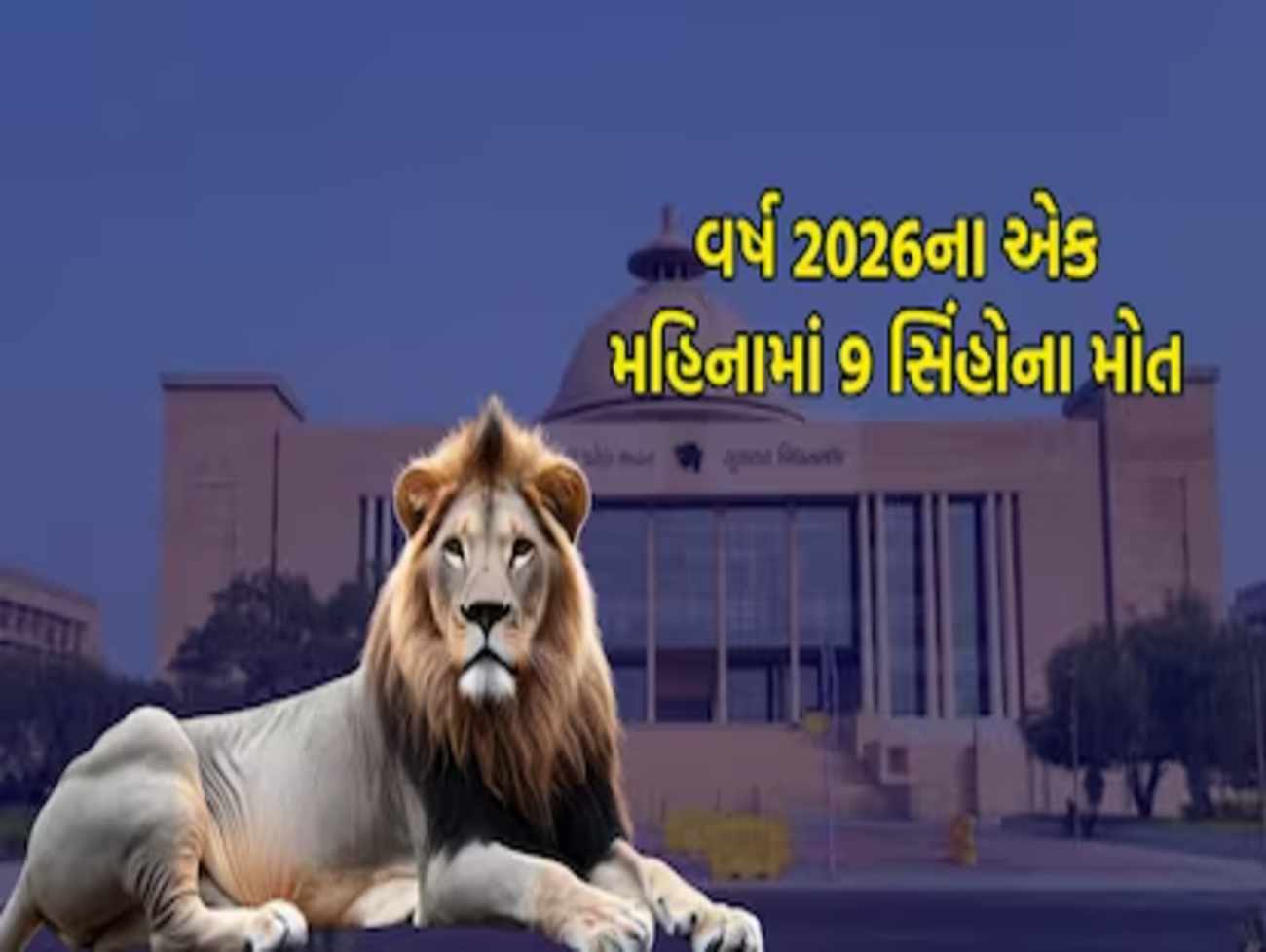 એશિયાટિક સિંહોના મોત શા કારણે થઈ રહ્યા છે? સરકારે વિધાનસભામાં આપ્યો જવાબ