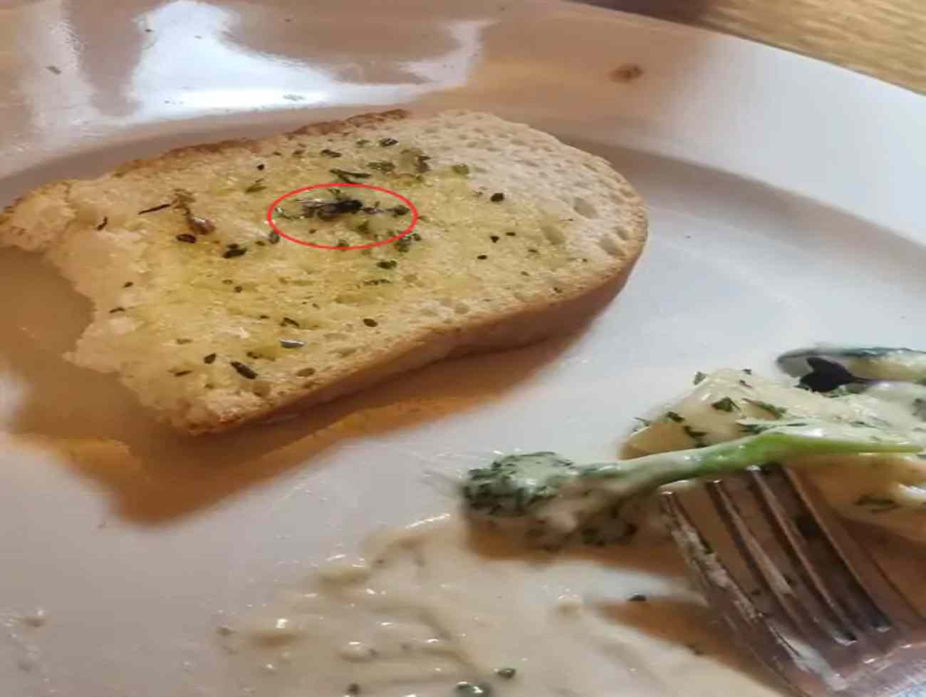 અમદાવાદના 'Komo by Kaffa'ની ગાર્લિક બ્રેડમાંથી મરેલી માખી નીકળી