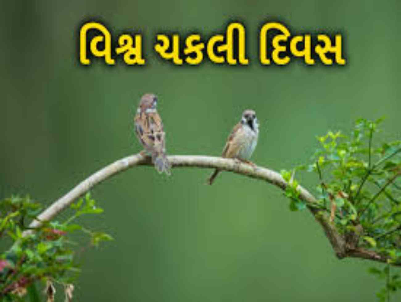 વિશ્વ ચકલી દિવસ:દિવસે નોકરી-ધંધો, રાત્રે વેસ્ટ લાકડાંના ટુકડામાંથી રૈયા સ્મશાને ચકલીના માળા બનાવી નિ:શુલ્ક વિતરણ