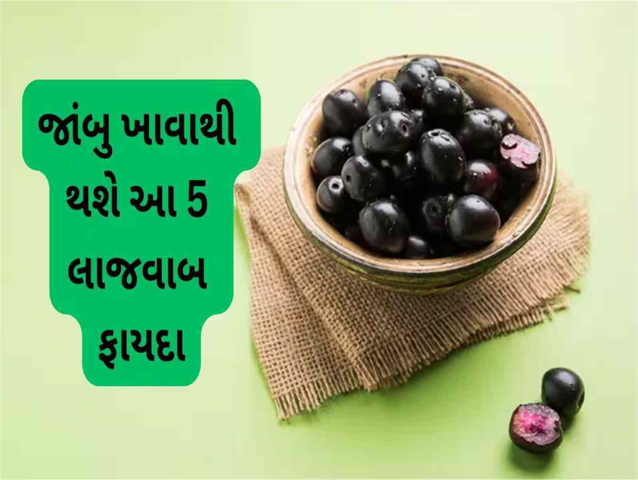 Jamun Benefits: લોહી બનાવવાનું મશીન છે આ ફળ, ખાવાથી ડાયાબિટીસ આ 5 તકલીફમાં થશે જબરદસ્ત ફાયદો