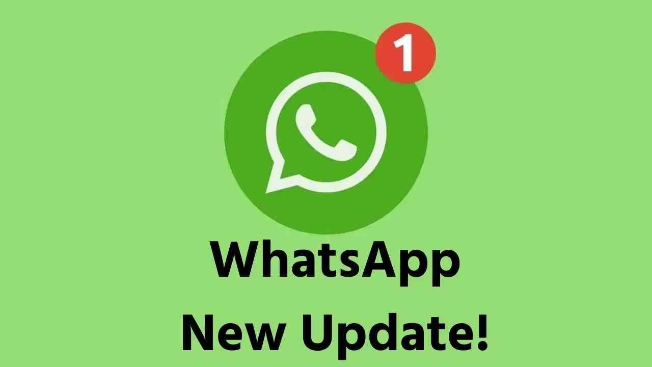 હવે મોબાઈલ નંબર આપ્યા વગર WhatsApp પર કરી શકશો ચેટ, કંપનીએ યુઝરનેમ ફીચર કર્યું લોન્ચ