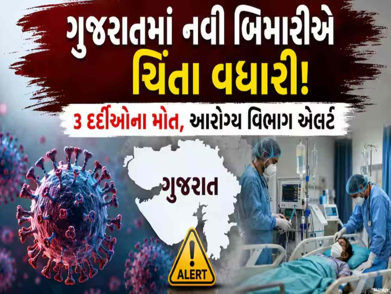 હિંમતનગર સિવિલ હોસ્પિટલમાં ચાંદીપુરા વાઇરસના કારણે અત્યાર સુધીમાં ત્રણ દર્દીઓના મોત