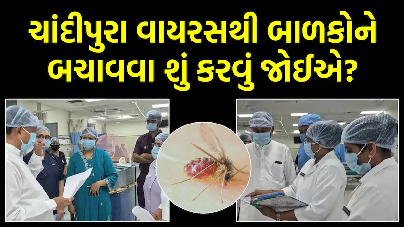ગુજરાતમાં ચાંદીપુરા વાયરસથી ફફડાટઃ ચાંદીપુરા વાયરસ શું છે? જાણો