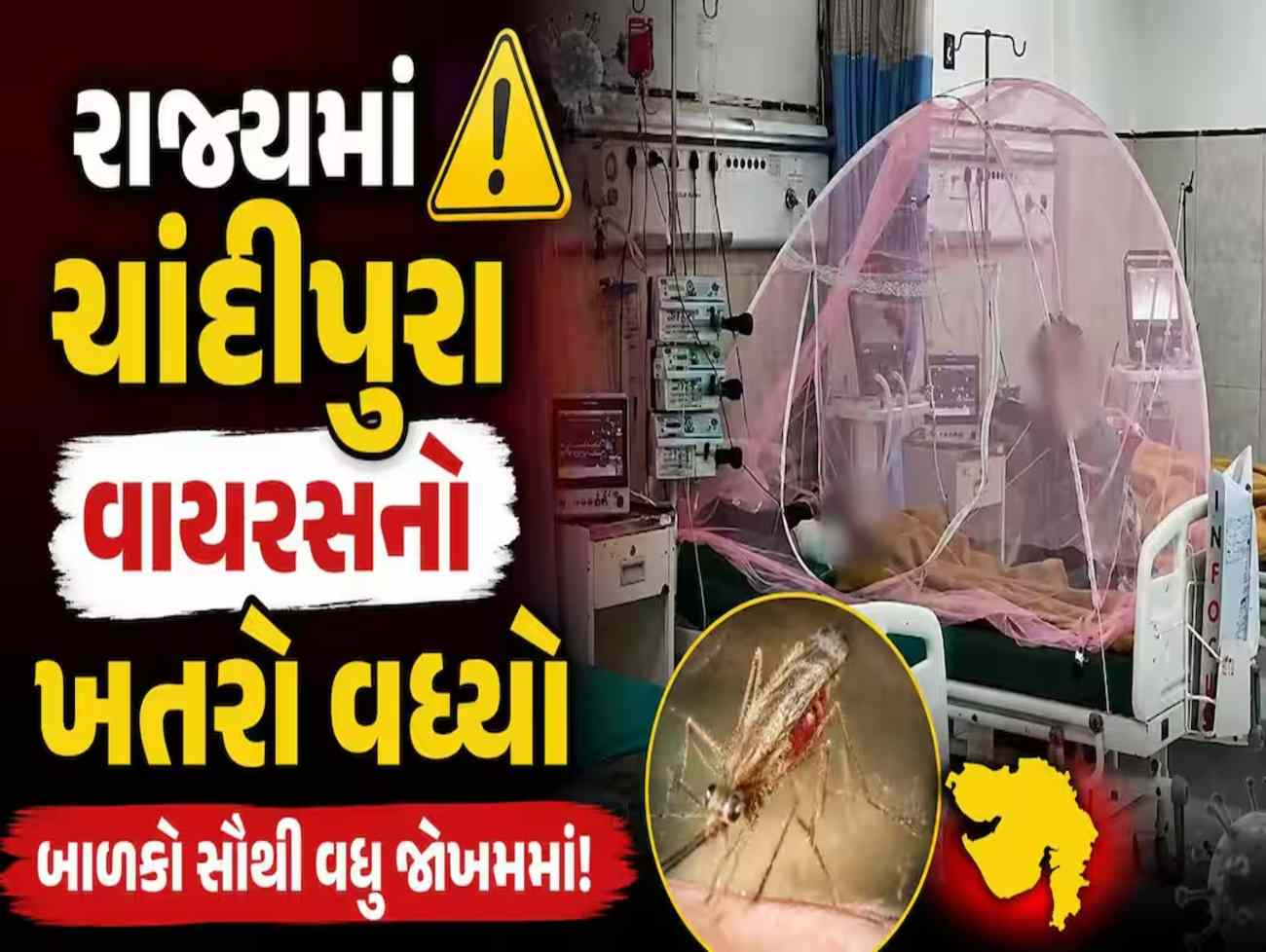 રાજ્યમાં ચાંદીપુરા વાયરસનો કહેર, અત્યાર સુધીમાં 22નાં મૃત્યુ, 35 એક્ટિવ કેસ, ICMRએ  ગાઇડલાઇન કરી જાહેર